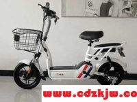 电瓶车哪种电池最好最经久耐用？电瓶车锂电池什么牌子质量好一点