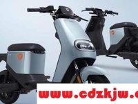 雅迪电瓶车原装电池是什么电池啊