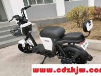 绿能是杂牌还是小品牌