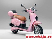 电瓶车电瓶充满电跑不远怎么修复