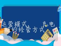 充电桩的运营模式, 充电桩的经营方式