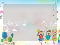 充电桩的公司, 充电桩的企业