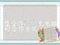 充电桩加盟合作, 充电桩的合作方式