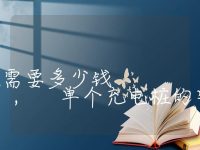 安装一个充电桩需要多少钱, 单个充电桩的安装费用