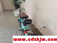 电动车一个月没充电充不进去电怎么办