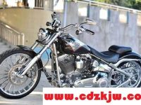 harley-davidson是什么牌子?harley-davidson摩托车