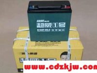 雅迪电动车用的什么牌子电池