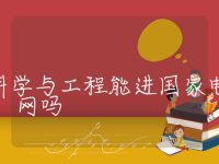 储能科学与工程能进国家电网吗，电力储能是什么行业类别