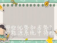 储能电站与传统电站相比有哪些优势和劣势?它们在未来的能源系统中将扮演什么角色?