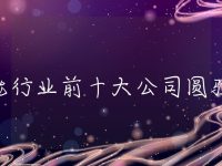 储能行业前十大公司圆驻图