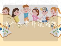 广东哪个大学开设储能专业