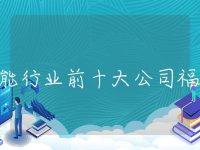 储能行业前十大公司福建