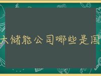 十大储能公司哪些是国企