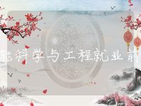 储能科学与工程就业前景