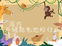 储能电池的行业标准,国内外储能电池的行业标准及认证情况